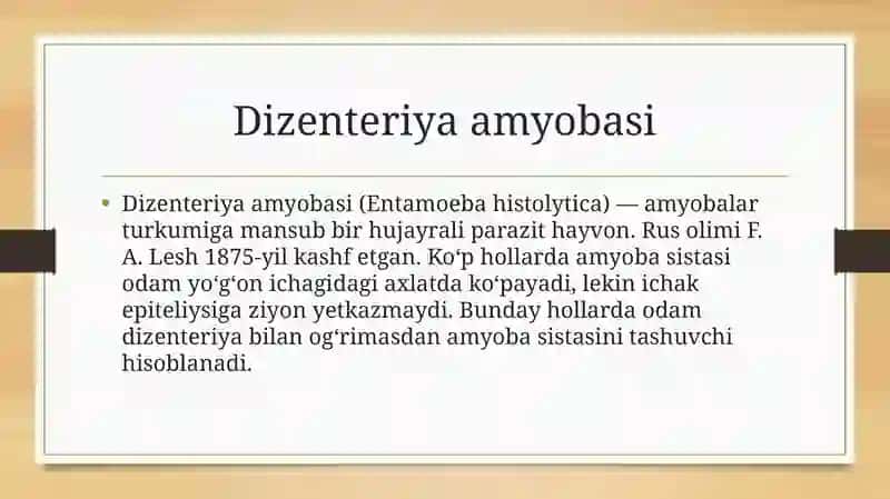 Dizenteriya amyobasi 2