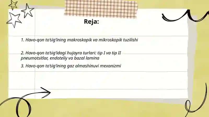 Havo-qon to‘sig‘ining tuzilishi, vazifasi va patologiyasi 2