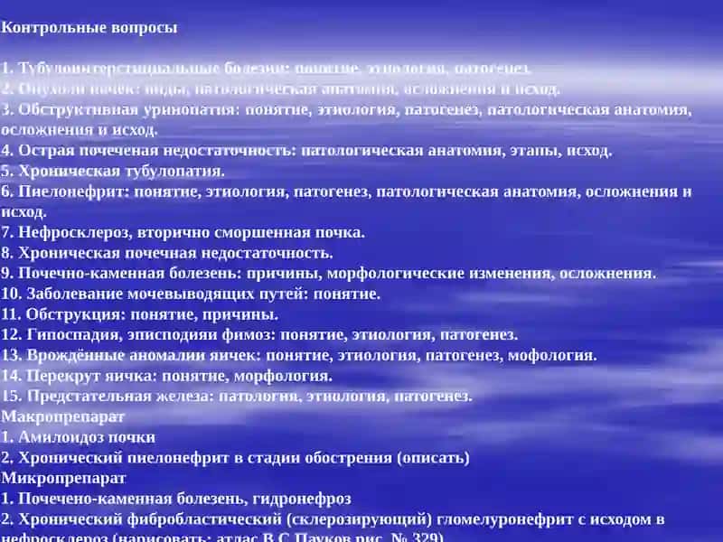 БОЛЕЗНИ ПОЧЕК. ГЛОМЕРУЛОПАТИИ.ТУБУЛОПАТИИ 2