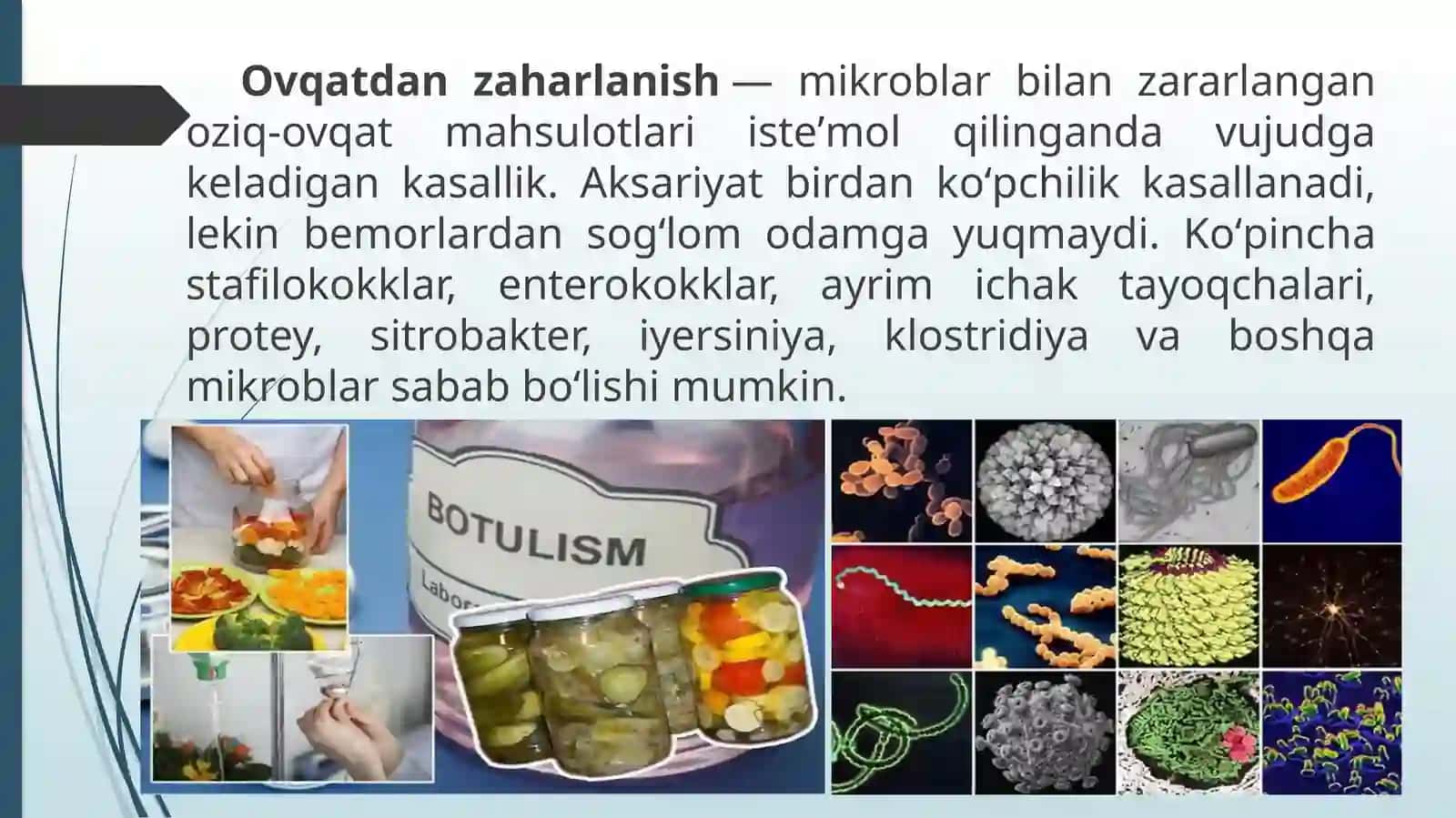 Ovqatdan zaharlanishlar va ularning profilaktikasi 2