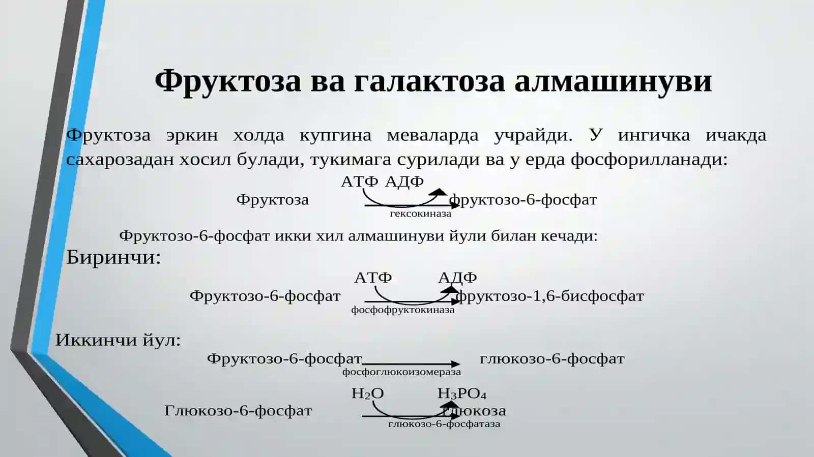 Углеводлар алмашинуви 2