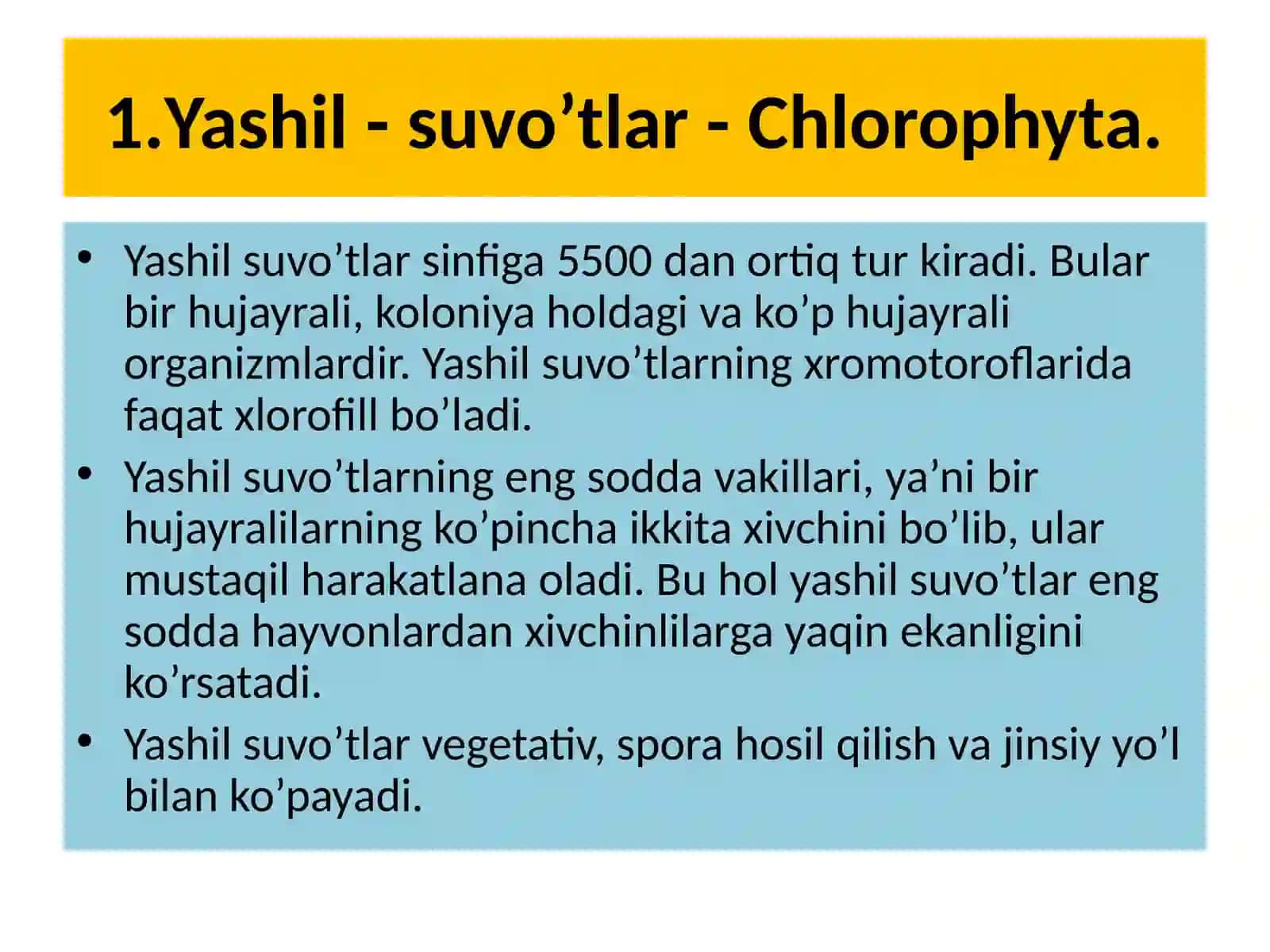 Yashil - suvo’tlarbo’limi- Chlorophyta 2