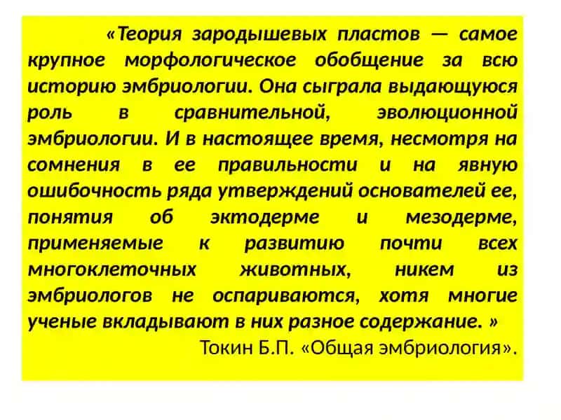 Органогенез 2