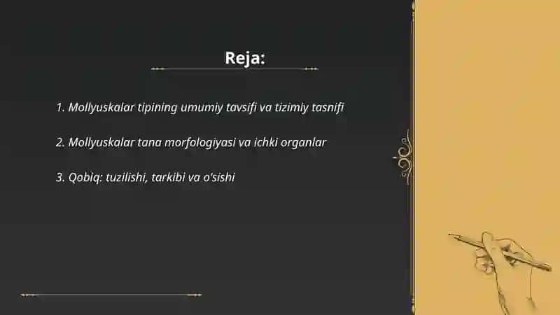 Mollyuskalar (Mollusca) tipi 2