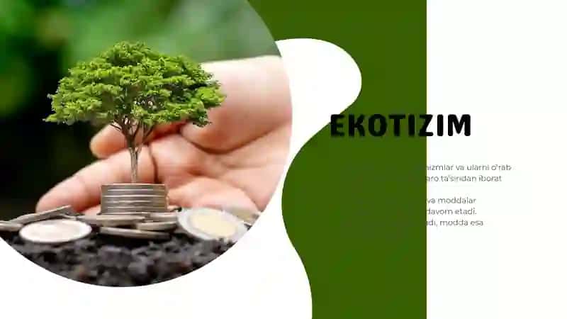 Energiya va zaharli moddalar oqimi mavzusiga pptx 2