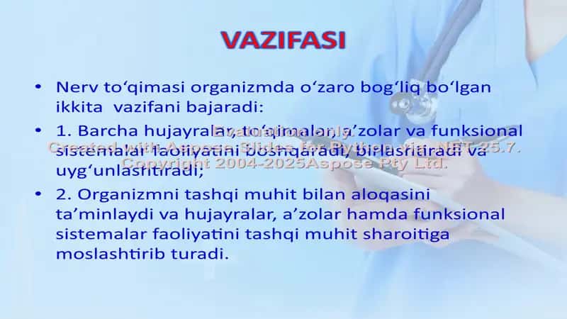 NERV TO’QIMASI 2