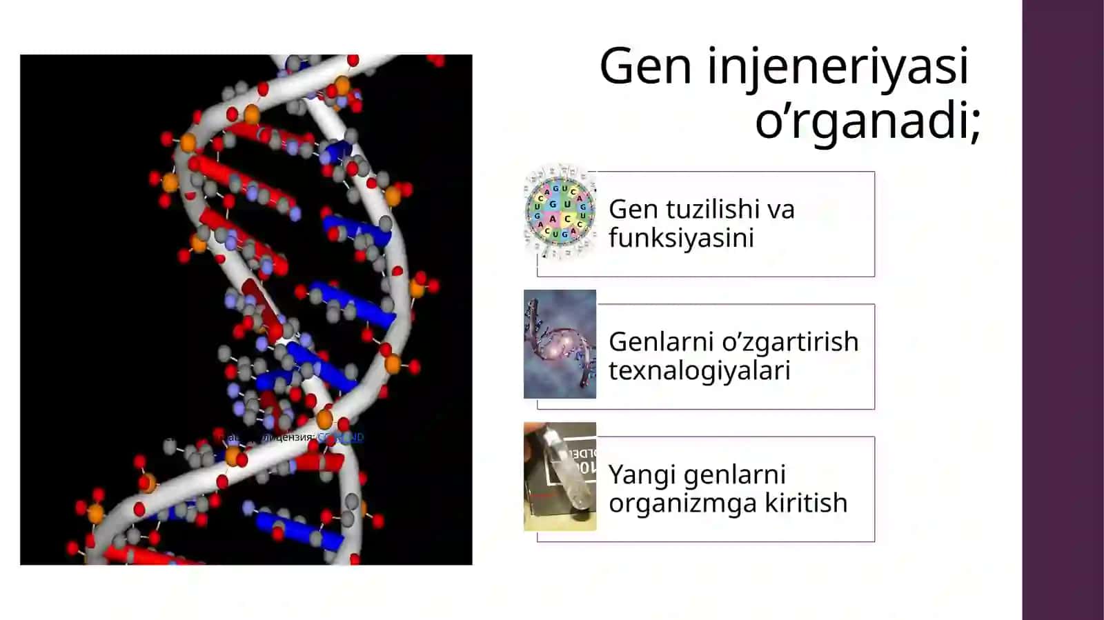 Genetik injeneriyasi 2