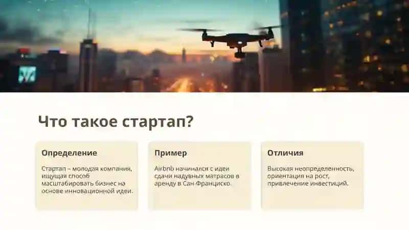 Презентация успех стартапа 2