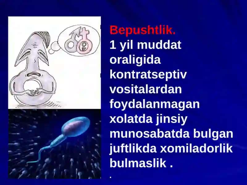 BEPUSHTLIK 2