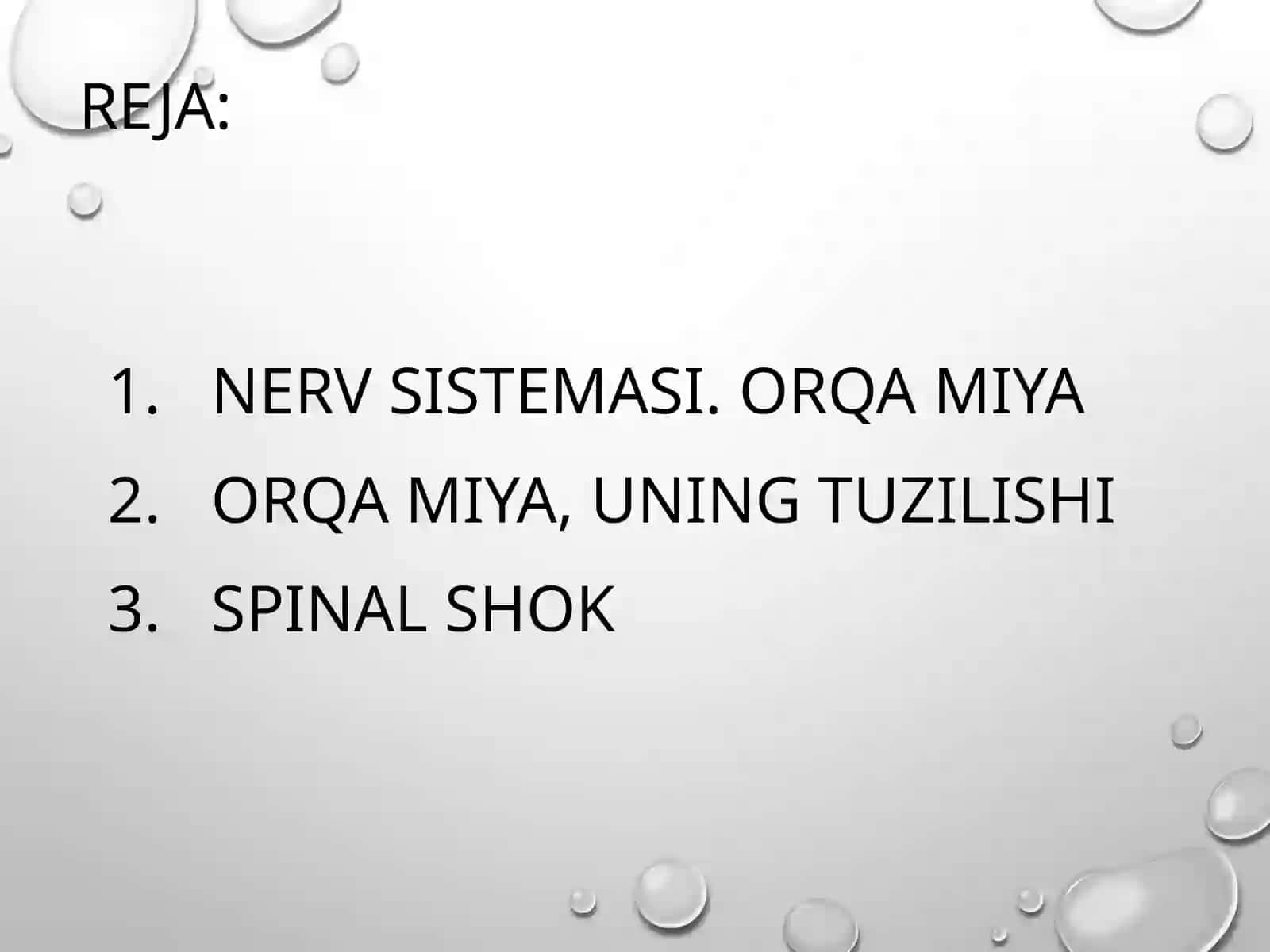 Bosh miya va orqa miya nervlari 2