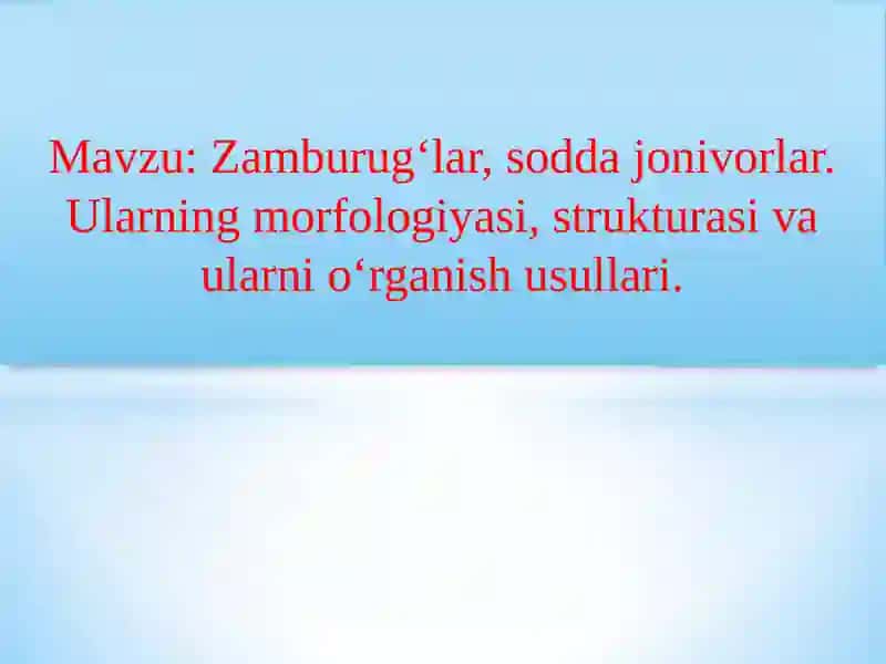 Zamburugʻlar va soddajonivorlar 2