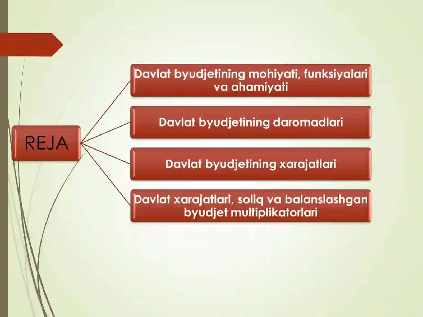 Davlat budjeti. Budjet soliq siyosati 2