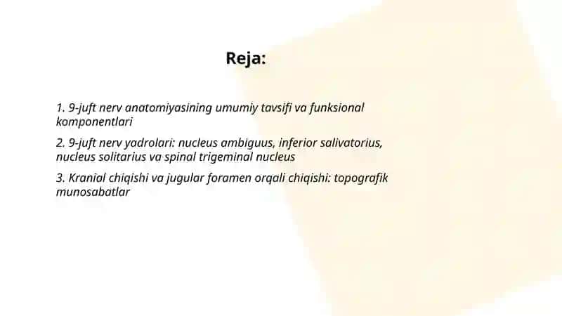 9-juft nerv anatomiyasi 2