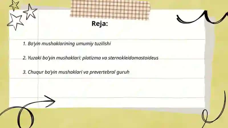 Boʻyin mushaklari 2