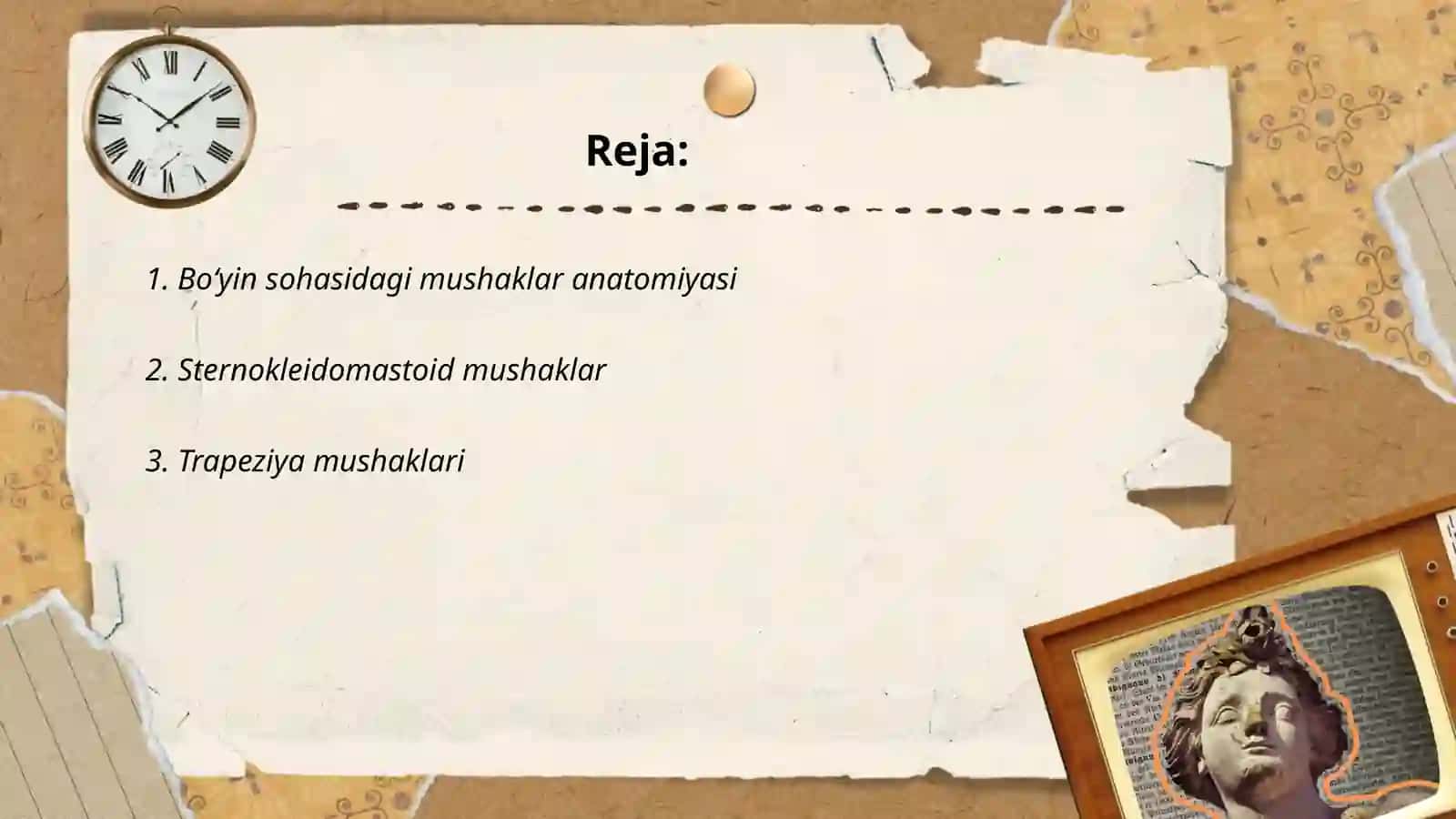 Boʻyin sohasidagi muskullar 2