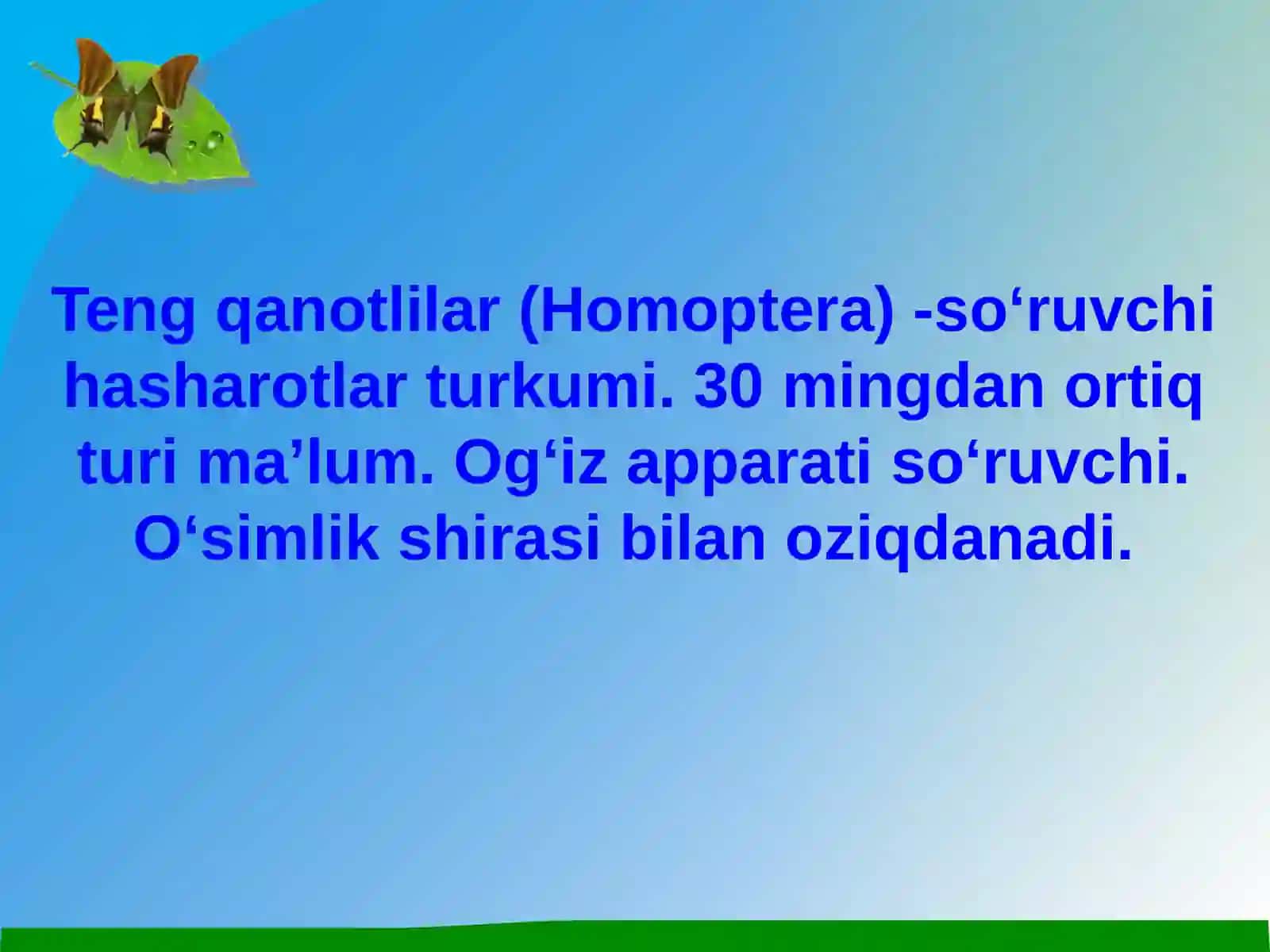 Teng qanotlilar(Homoptera) 2