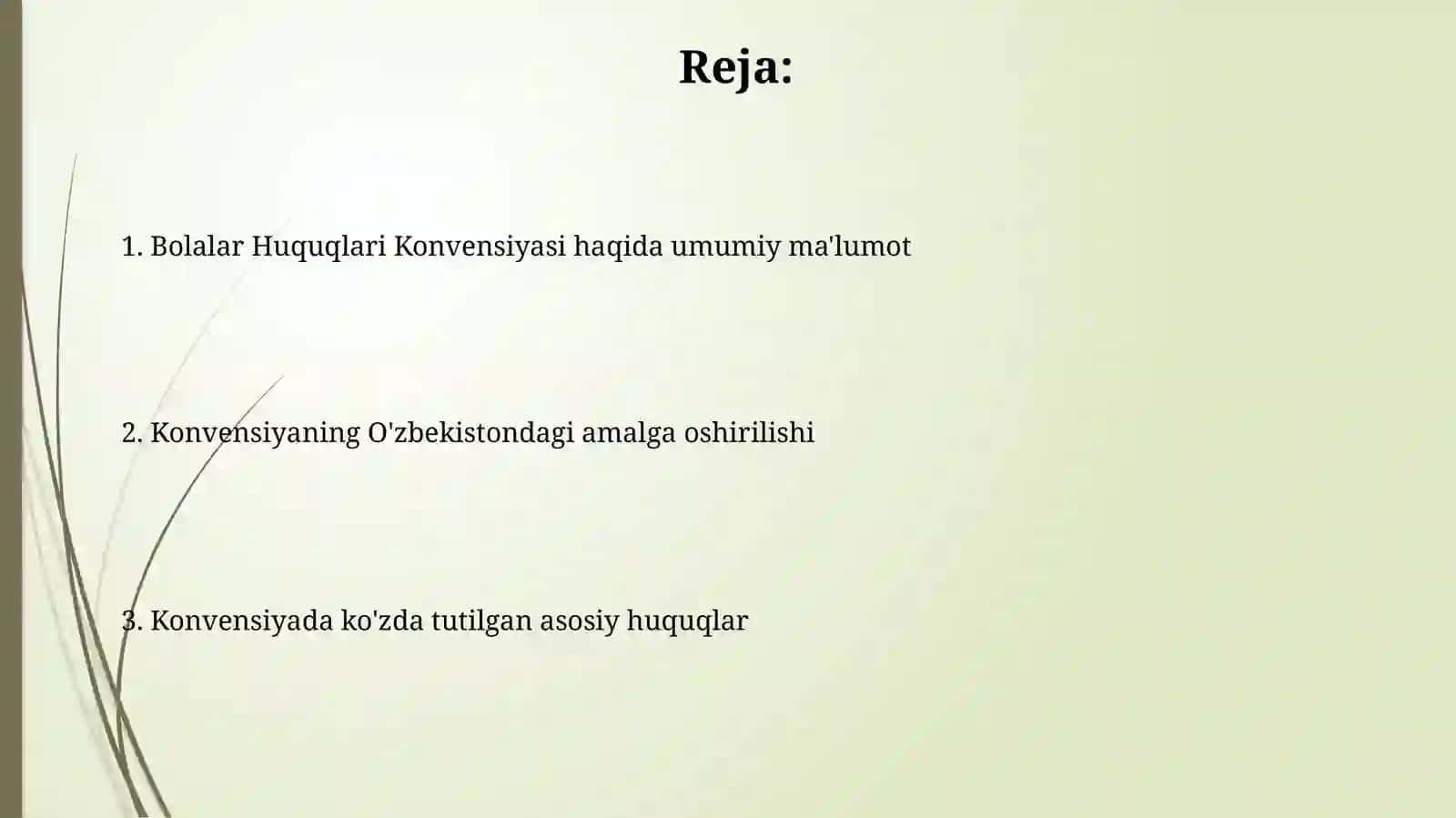 Bola huquqlari toʻgʻrisidagi konvensiyasi 2