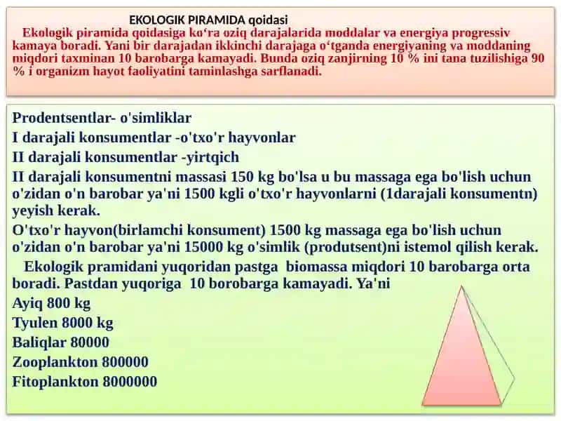 Ekologik  piramidaga oid masalalar yechish 2