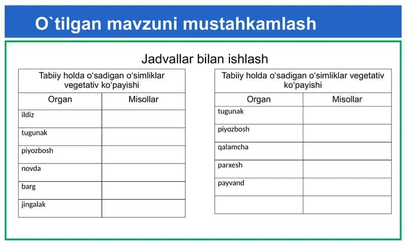 Gullarning changlanishi 2