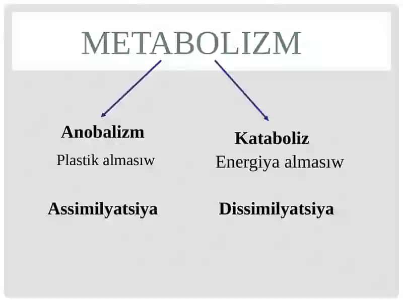 ZAT HÁM ENERGIYA ALMASIWI 2