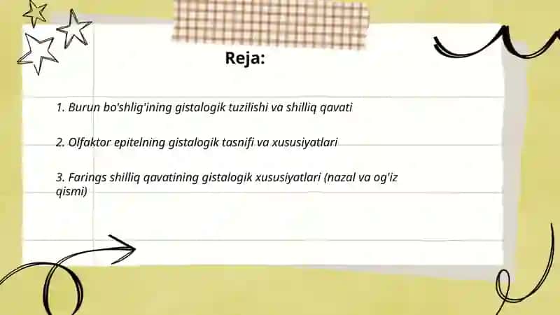 Nafas olish tizimining azolarining gistalogik tasnifi 2