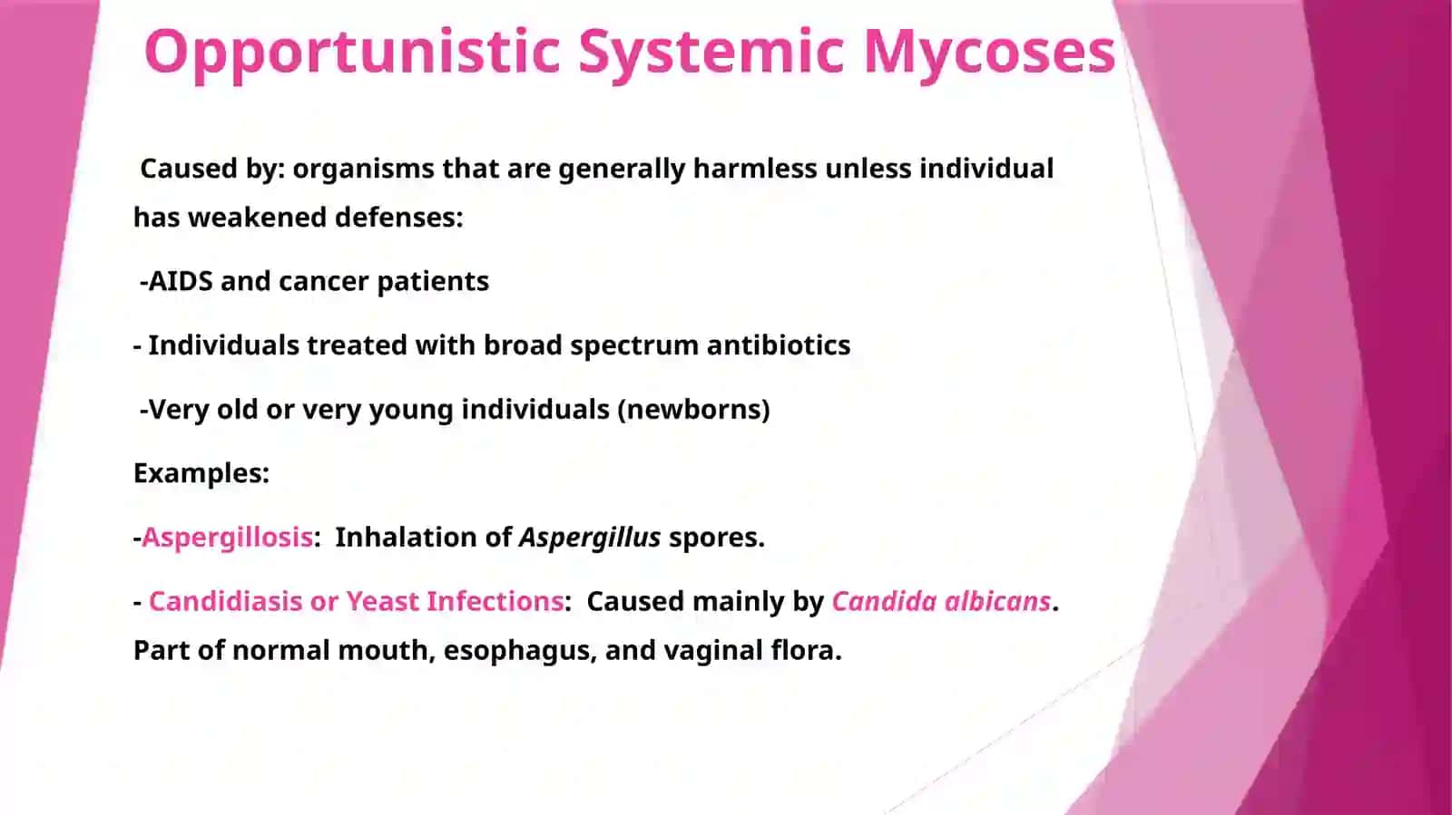 Medical Mycology 2