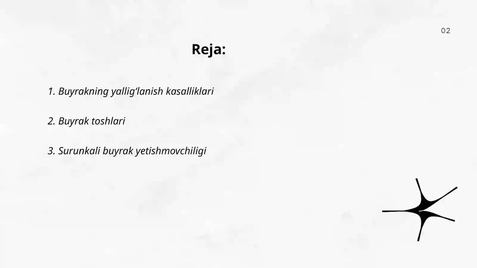 Buyrak Kasaliklari 2