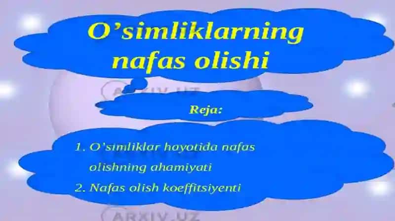 O‘simliklarda Nafas olish jarayoni 2