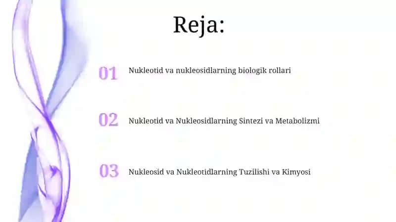 Nukleozidlar va nukleotidlar 2