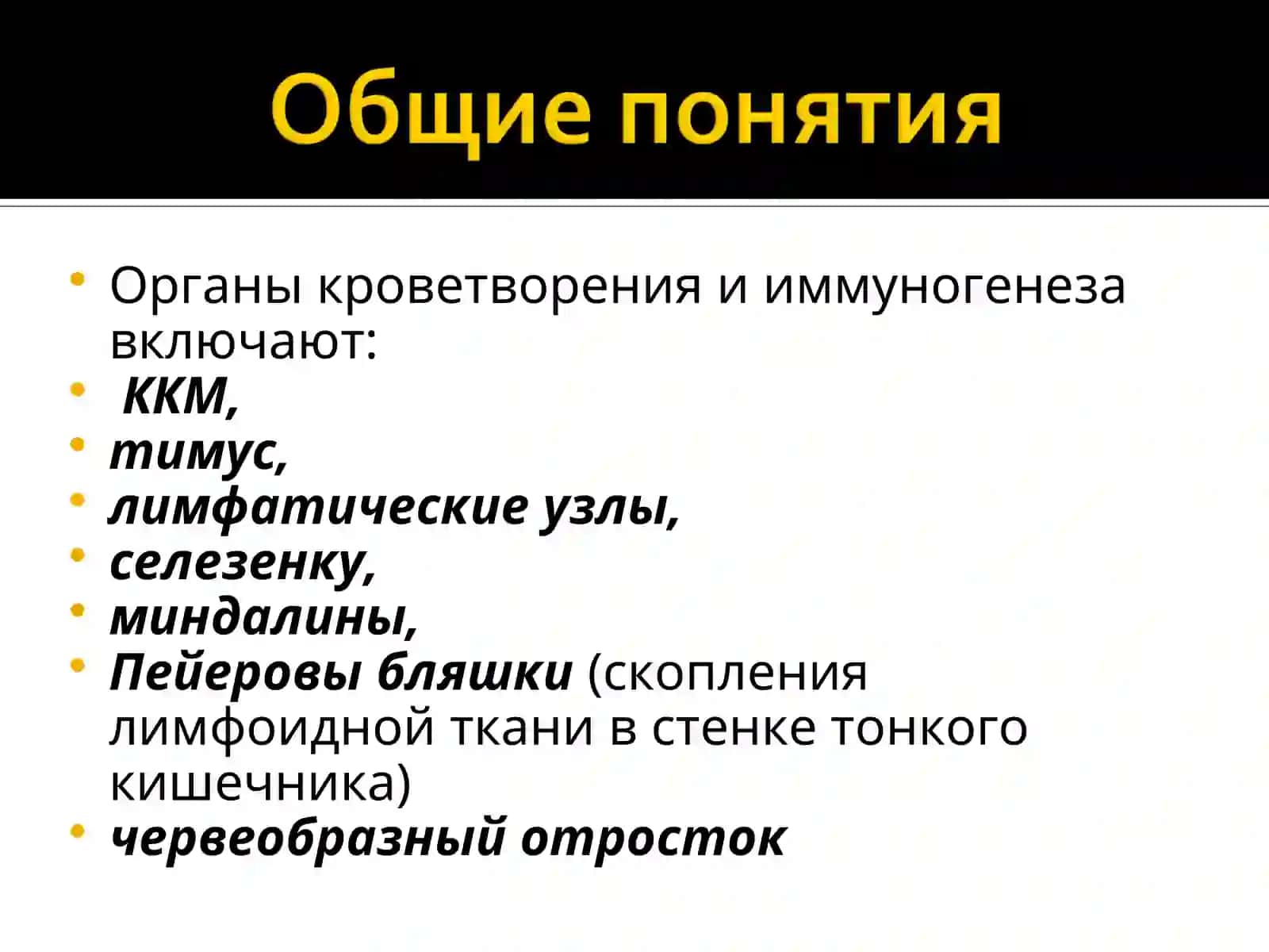 ИММУННАЯ СИСТЕМАМорфофункциональные особенности 2