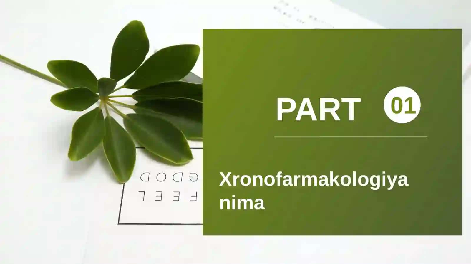 Xronofarmakologiya 2