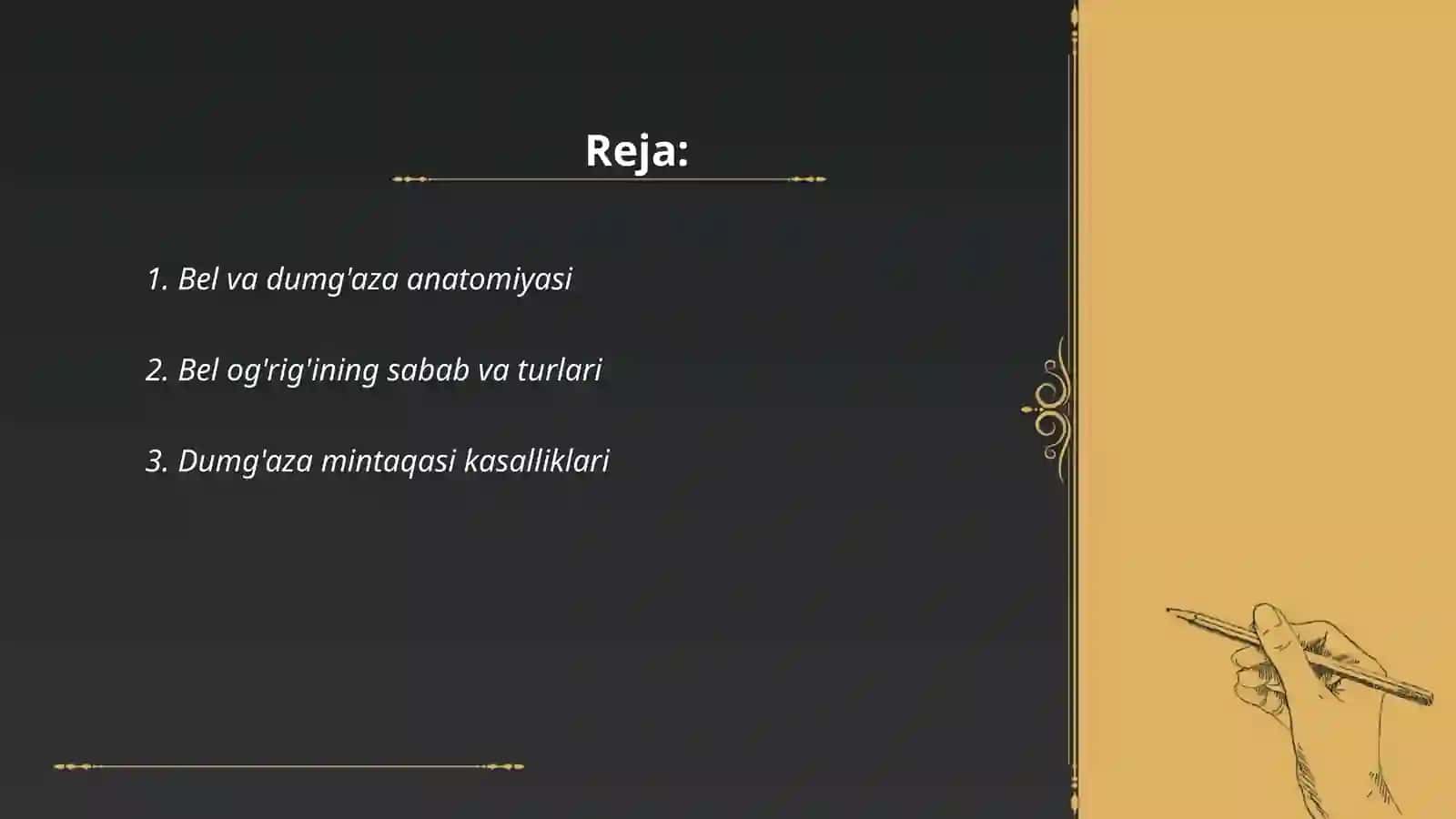 Bel va dumg'aza anatomiyasi 2