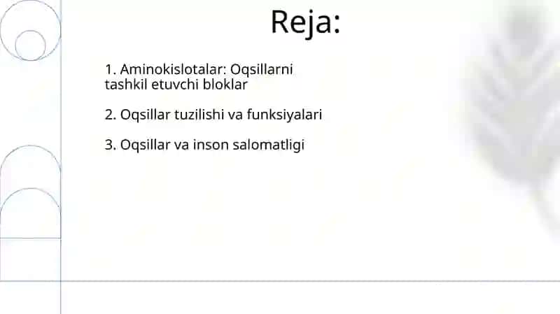 Oqsillar va aminokislotalar 2