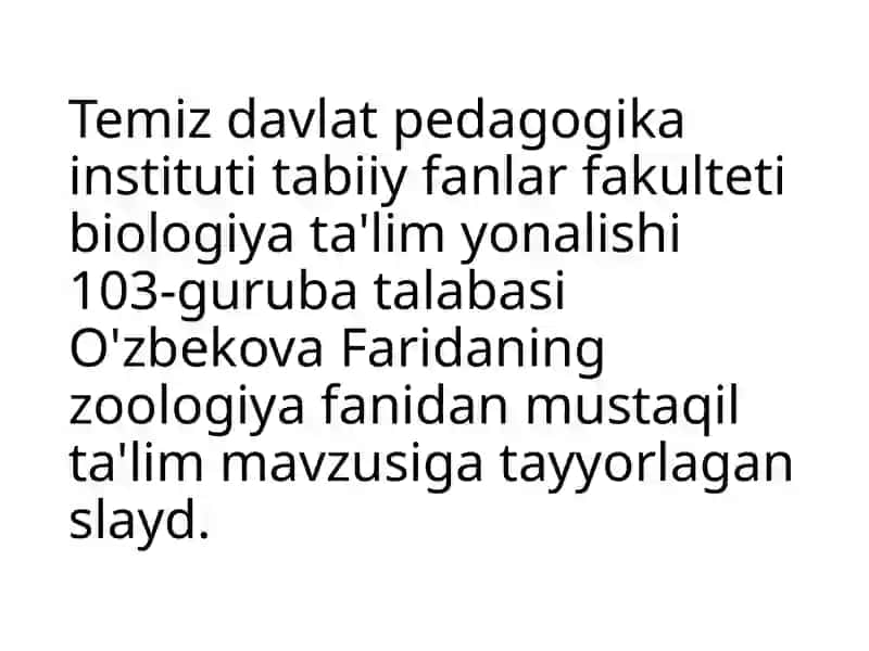 Molluskalar tipi (Molusca) 2