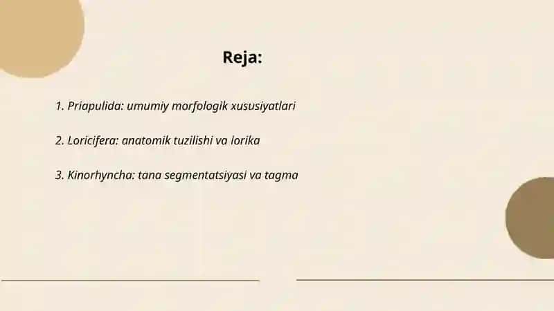 Priapulida Loricifera va kinorhyncha 2