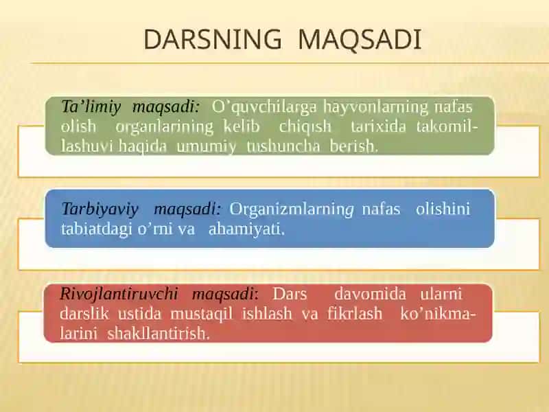 Hayvonlarning nafas olish organlari evolutsiyasi 2
