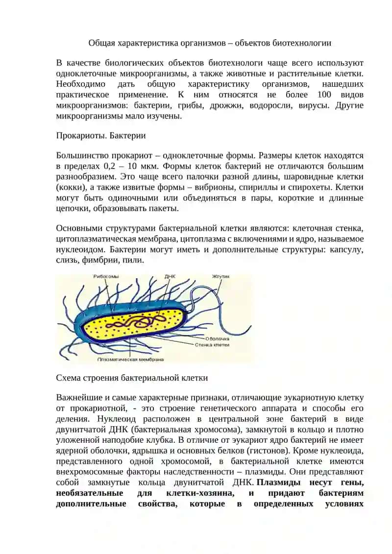 Прокариоты. Бактерии 2