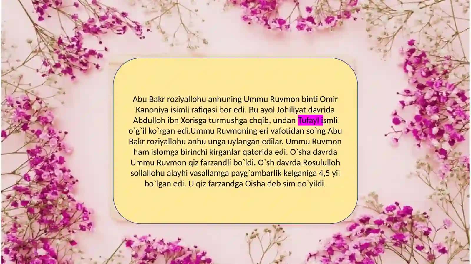 Sayyida Oisha binti Abu Bakr  roziyallohu a 2
