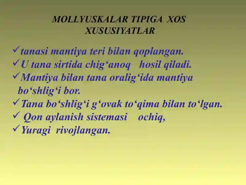 ikki pallali va boshoyoqli molyuskalar sinflari. 2