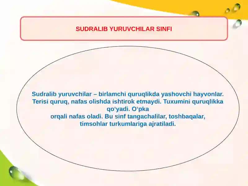 Sudralib Yuruvchilar Sinfi 2