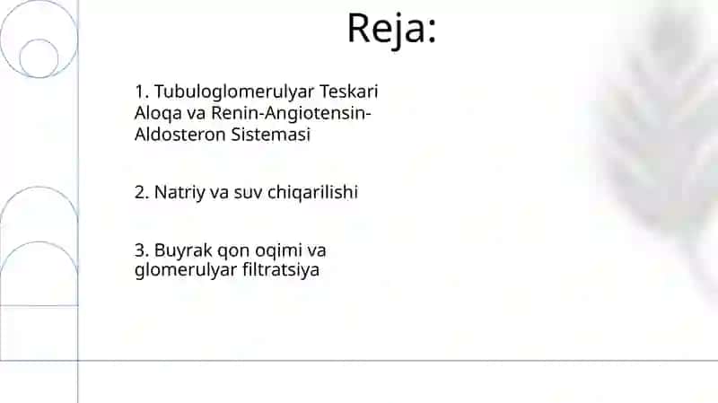 Arterial bosimning boshqariluvida buyraklarning roli 2