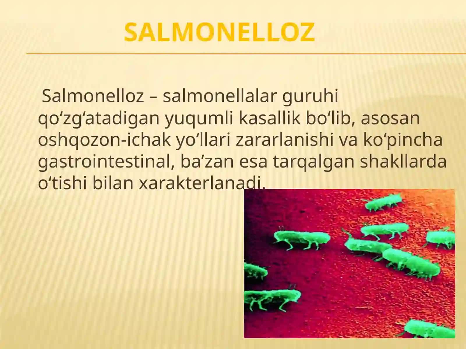 Salmonellyoz va ich terlama 2