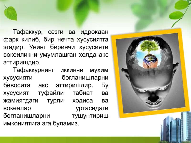 Ta'fakkur operatsiyalari 2