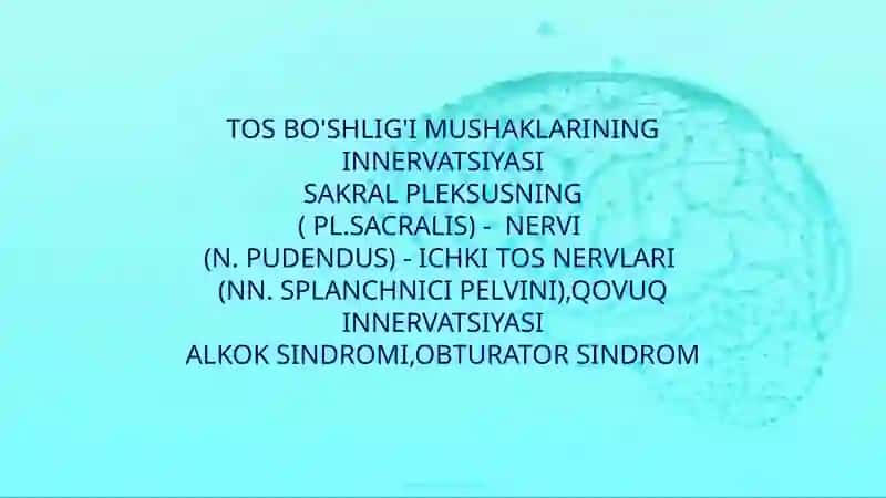 Tos organlari innervatsiyasi va buzilish sindromlari 2