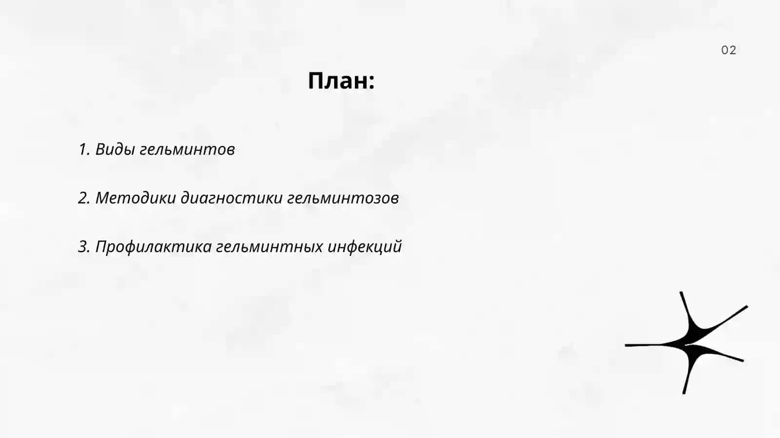 План: Виды гельминтов 2
