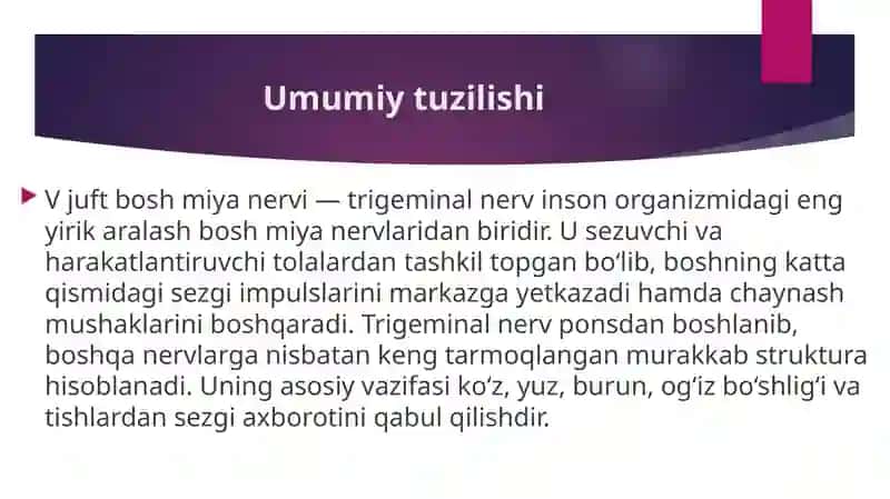 V juft bosh miya nervi. uch shoxli ner 2