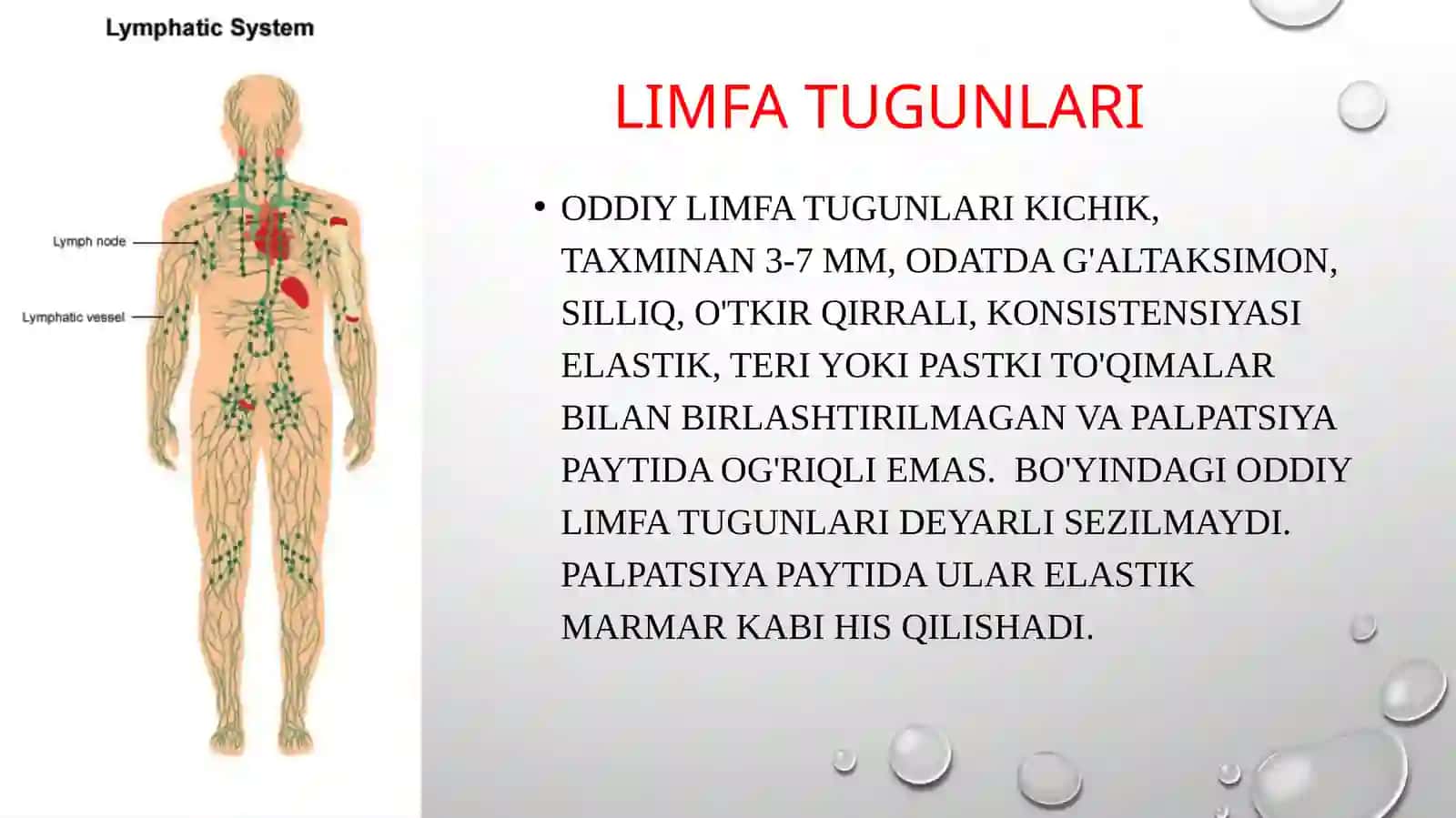 limfa tiktugunlar va qalqonsimon bez palpatsiyasi 2