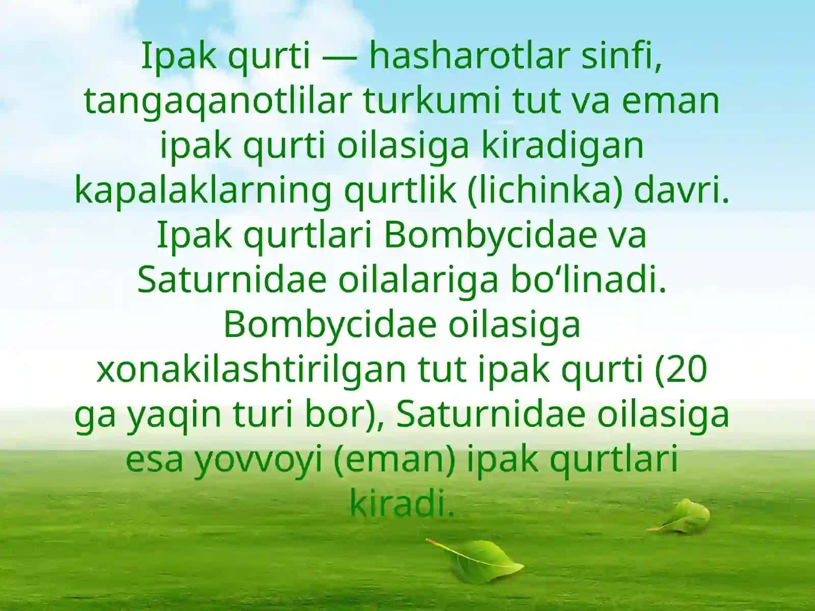 Ipak qurti haqida 2