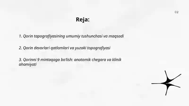 Qorin tapografiyasi 2