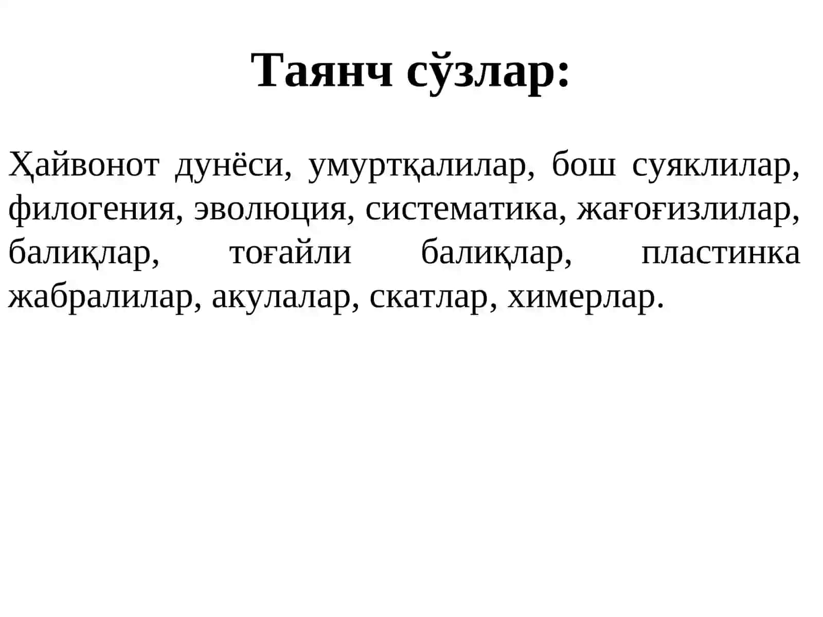 Тоғайли балиқлар (Chondrichthyes) синфи 2